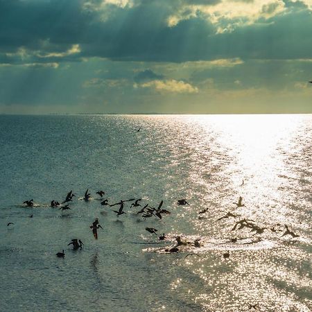 Pelican Beach Resort, Dangriga Esterno foto