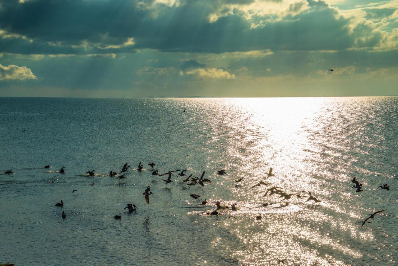 Pelican Beach Resort, Dangriga Esterno foto